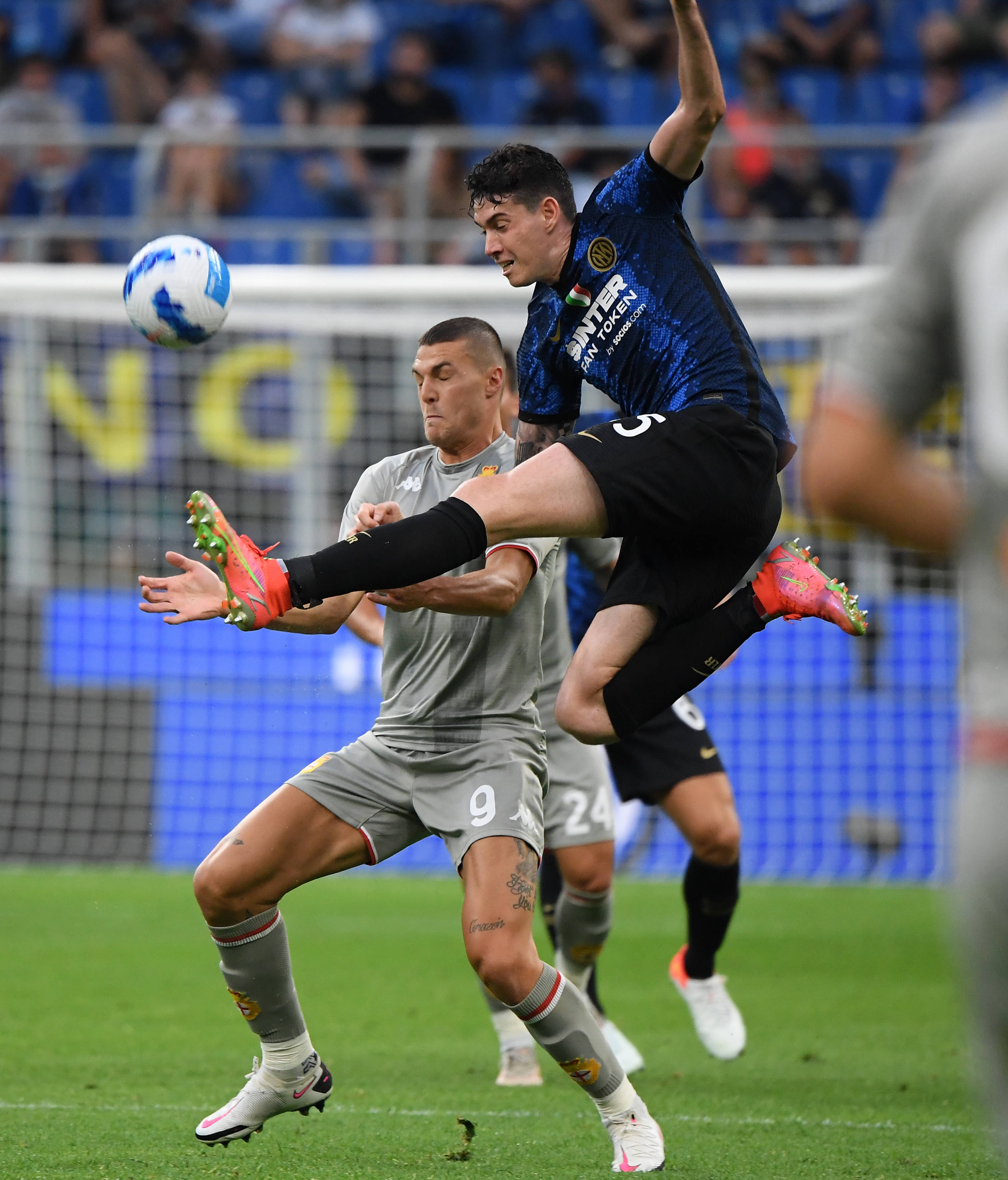 的发展提供 的发展提供