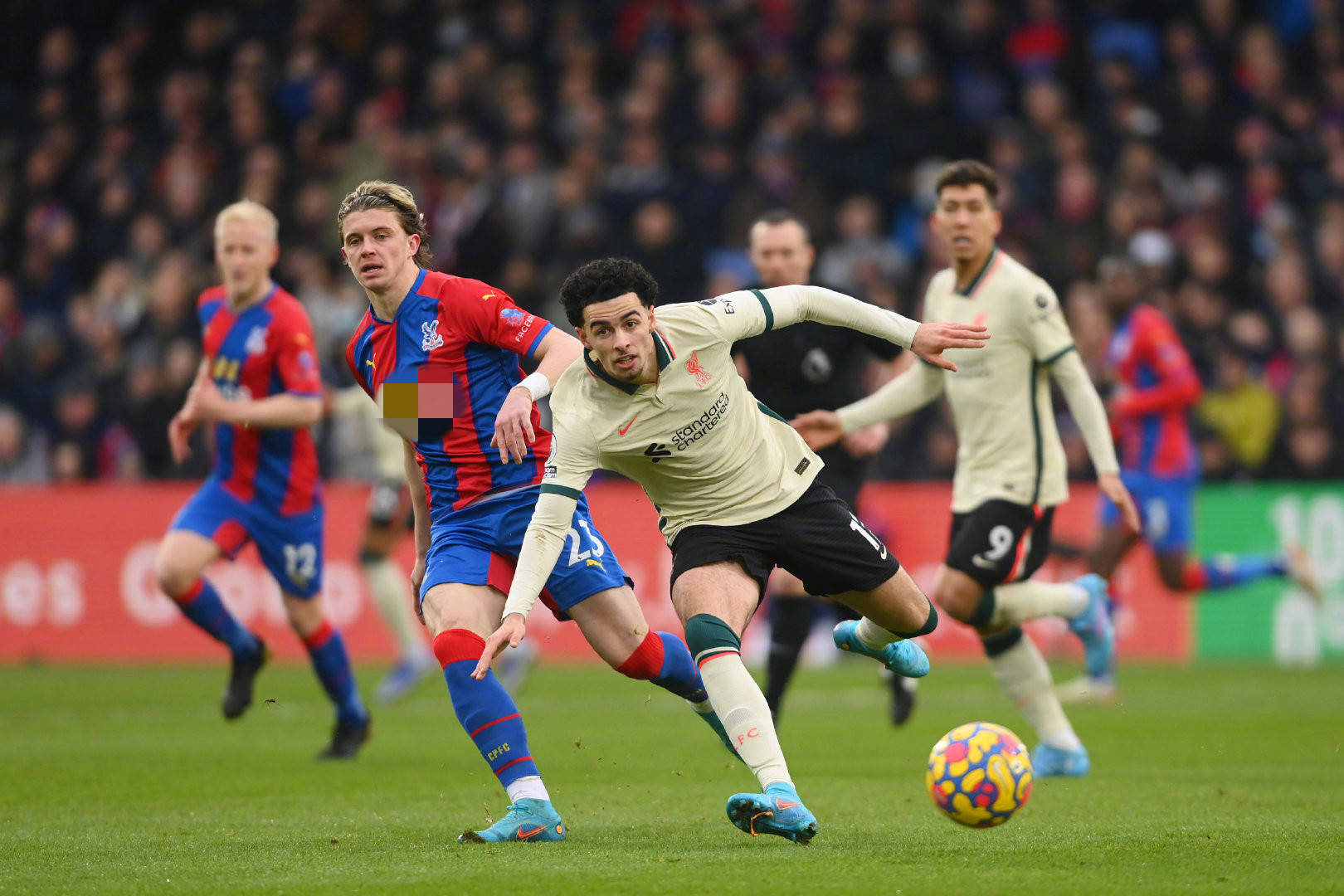 和娱乐性 和娱乐性